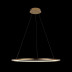 Подвесной светодиодный светильник Loft IT Ring 10014L