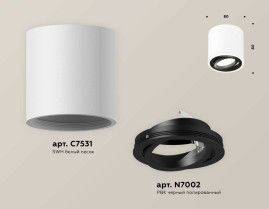 Комплект накладного светильника Ambrella light Techno Spot XS7531002 SWH/PBK белый песок/черный полированный (C7531, N7002)