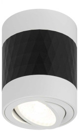 Накладной светильник ЭРА OL33 WH/BK Б0056380