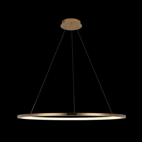 Подвесной светодиодный светильник Loft IT Ring 10014XL