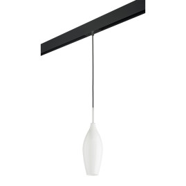 Комплект с трековым светильником Lightstar Pentola (803020+595007) PRO803020