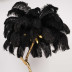 Торшер Imperium Loft Страусиные Перья Feather Lamp A Modern Grand Tour Черный 189584-22