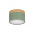 Накладной светодиодный светильник Loft IT Grape 10162 Green