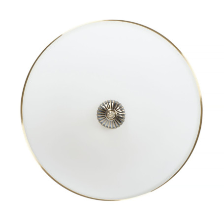 Потолочный светильник MyFar Biene MR1527-4C