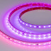 Светодиодная лента Arlight 12W/m 60LED/m 5060SMD разноцветный 5М SPI-PS-B60-12mm 24V 039181