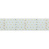 Светодиодная лента Arlight 36W/m 350LED/m 2835SMD дневной белый 2,5M 019081(2)