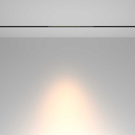 Трековый светильник Maytoni Technical TR232-2-10W3K-B