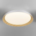 Потолочный светодиодный светильник Citilux Mega CL752452G