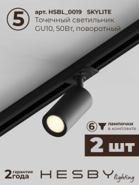 Встраиваемая однофазная трековая система Hesby Lighting Skylite №5 со светильниками HSBL_kompl_S005_VI2B3K