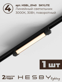 Встраиваемая однофазная трековая система Hesby Lighting Skylite №5 со светильниками HSBL_kompl_S005_VI2B3K