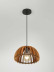 Подвесной светильник Rivoli Ivy 5111-201 Б0069914