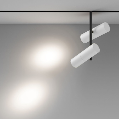 Трековый светодиодный светильник Maytoni Technical Magnetic Exility Elti Duo TR005-4-2X12W-DS-BW