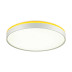 Настенно-потолочный светодиодный светильник Sonex Color Kezo Yellow 7709/DL