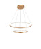 Подвесная светодиодная люстра Zortes RINGOLIGHT ZRS.33320.63C