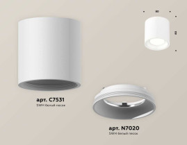 Комплект накладного светильника Ambrella light Techno Spot XS7531010 (C7531, N7020)