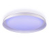 Потолочный светодиодный светильник Citilux Mega CL752450G