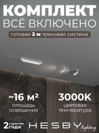 Встраиваемая однофазная трековая система Hesby Lighting Skylite №5 со светильниками HSBL_kompl_S005_VI2W3K