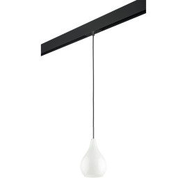 Комплект с трековым светильником Lightstar Pentola (803030+595007) PRO803030