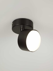 Спот Rivoli Alesta 7079-701 Б0069931