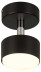 Спот Rivoli Alesta 7079-701 Б0069931
