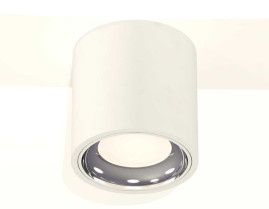 Комплект накладного светильника Ambrella light Techno Spot XS7531011 SWH/PSL белый песок/серебро полированное (C7531, N7022)