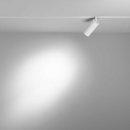 Трековый светодиодный светильник Maytoni Technical Focus LED TR032-2-5W4K-S-W