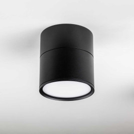 Светильник накладной Lightstar Acuto 215887