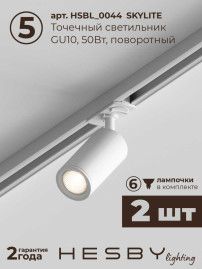 Встраиваемая однофазная трековая система Hesby Lighting Skylite №5 со светильниками HSBL_kompl_S005_VI2W4K