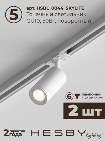 Встраиваемая однофазная трековая система Hesby Lighting Skylite №5 со светильниками HSBL_kompl_S005_VI2W4K