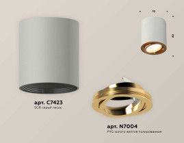 Комплект накладного светильника Ambrella light Techno Spot XS7423022 SGR/PYG серый песок/золото желтое полированное (C7423, N7004)