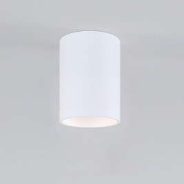 Потолочный светильник Elektrostandard Porter 25011/01 GU10 белый a064288