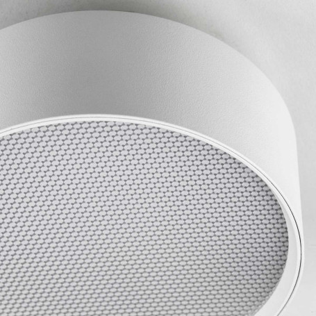 Светильник накладной Lightstar Acuto 215946