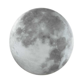 Настенно-потолочный светильник Sonex MOON 3084/DLN