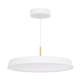 Подвесной светодиодный светильник Arlight Sp-Elegant-R500-37W Day4000 033924(1)