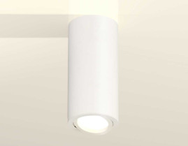Комплект накладного светильника Ambrella light Techno Spot XS7442001 SWH белый песок (C7442, N7001)