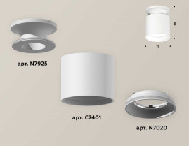 Комплект накладного светильника Ambrella light XS7401060 SWH белый песок MR16 GU5.3 (N7925, C7401, N7020) 00-00003975