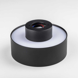 Светильник накладной Lightstar Acuto 215937