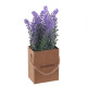 Цветочная композиция &quot;Лаванда&quot;, L10 W10 H20 см