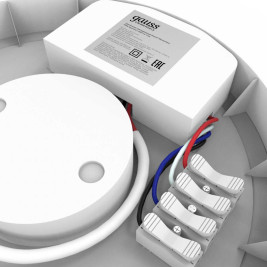 Потолочный светодиодный светильник Gauss Сауна 126411312