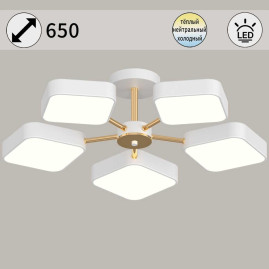 Светильник потолочный Reluce 03360-0.3-05 WH+FGD