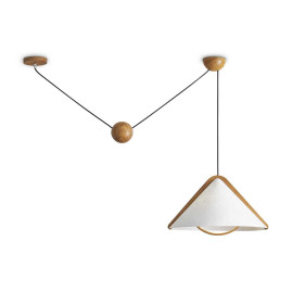 Потолочный светильник Freya Modern FR5554CL-01T