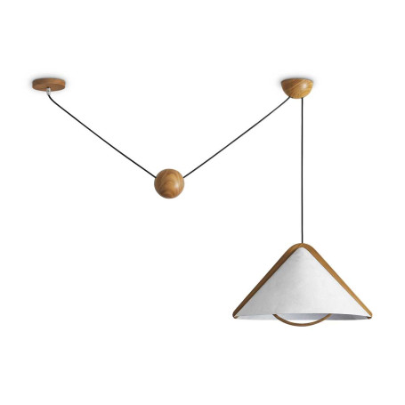 Потолочный светильник Freya Modern FR5554CL-01T