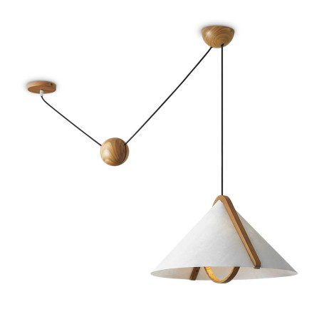 Потолочный светильник Freya Modern FR5554CL-01T