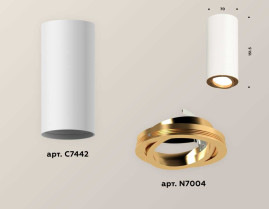 Комплект накладного светильника Ambrella light Techno Spot XS7442004 SWH/PYG белый песок/золото желтое полированное (C7442, N7004)