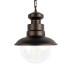 Уличный подвесной светильник Loft IT Piemonte 100022P