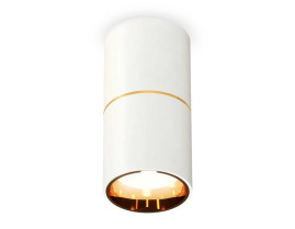 Комплект потолочного светильника Ambrella light Techno Spot XC (C6301, A2062, N6113) XS6301082