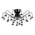 Потолочная светодиодная люстра Arte Lamp Dexter A3619PL-24BK