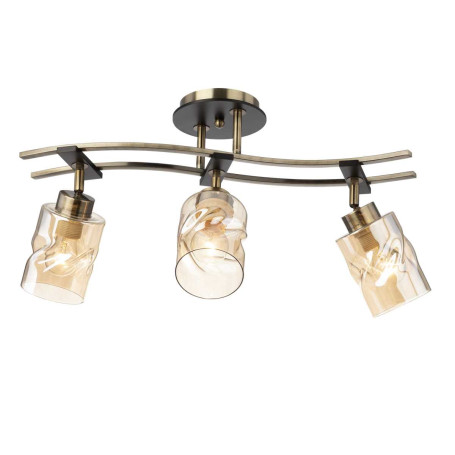 Спот Citilux Мерида CL142134