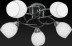 Потолочная люстра Toplight Jeanine TL7430X-05BP