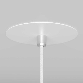 Подвесной светильник Maytoni Nevill P318-PL-01-W